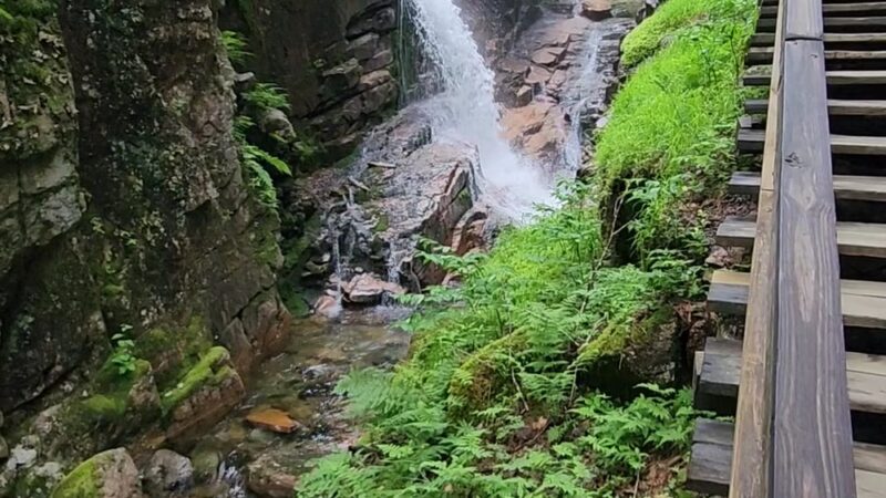 Avalanche Falls - Lincoln, NH