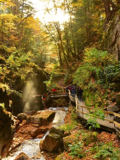Flume Gorge - Lincoln, NH