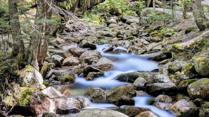 Flume Gorge - Lincoln, NH