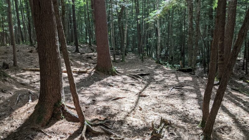 Franconia Brook Tentsite - Lincoln, NH