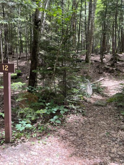 Franconia Brook Tentsite - Lincoln, NH