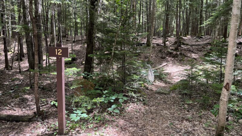 Franconia Brook Tentsite - Lincoln, NH