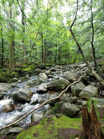 Georgiana Falls Trailhead - Lincoln, NH