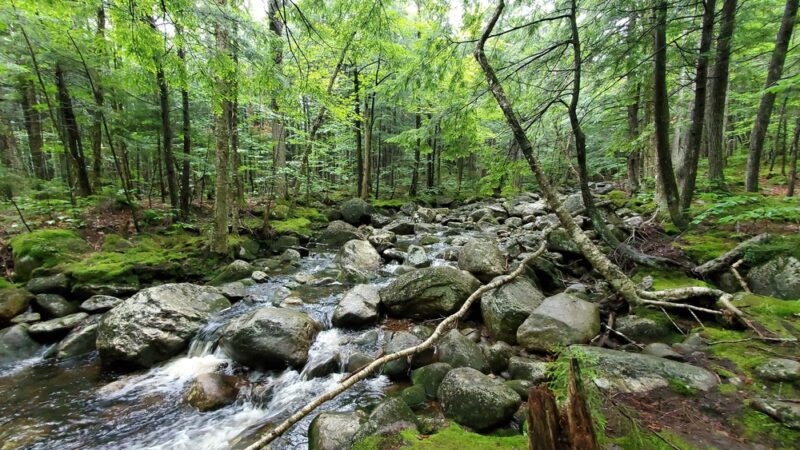 Georgiana Falls Trailhead - Lincoln, NH