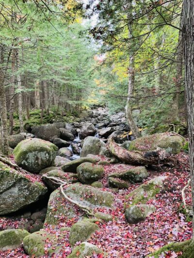Georgiana Falls Trailhead - Lincoln, NH