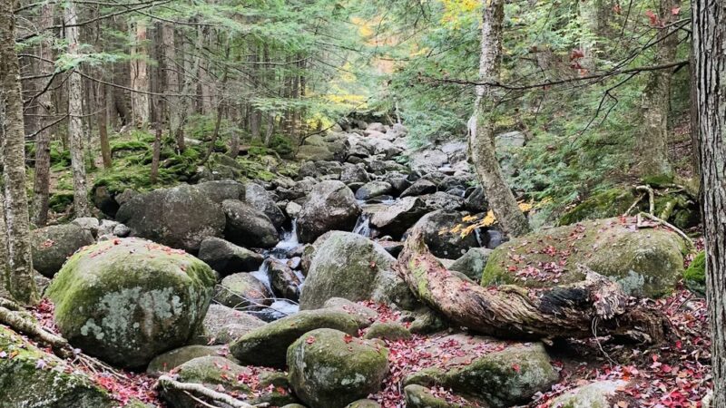 Georgiana Falls Trailhead - Lincoln, NH