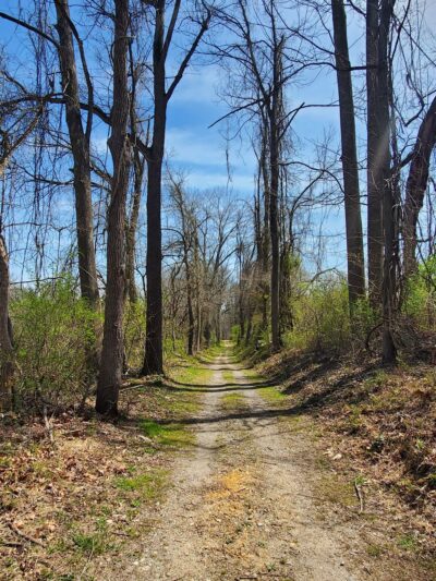Springlawn Trail - Lincoln University, PA