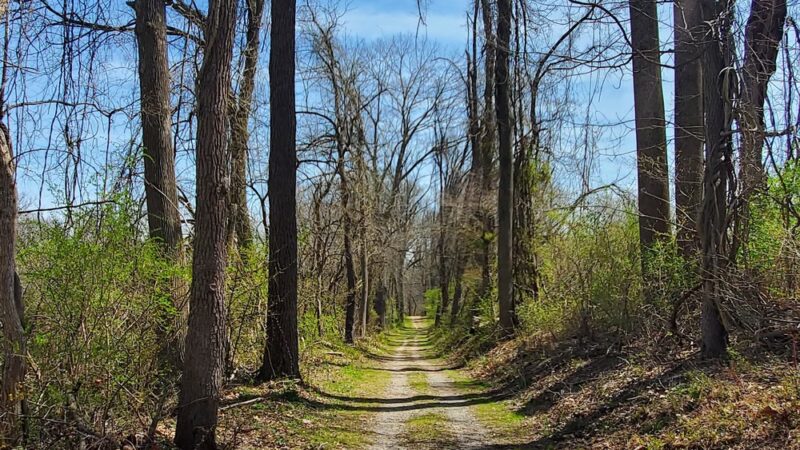 Springlawn Trail - Lincoln University, PA