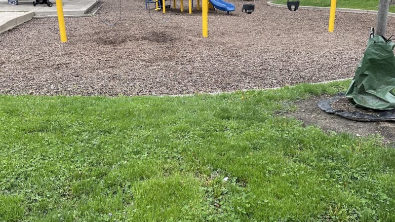 Central Park - Lincolnwood, IL