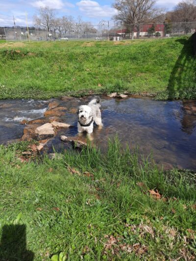 Wolfe Park - Lindale, GA