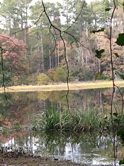 Iron Lake - Linden, TX