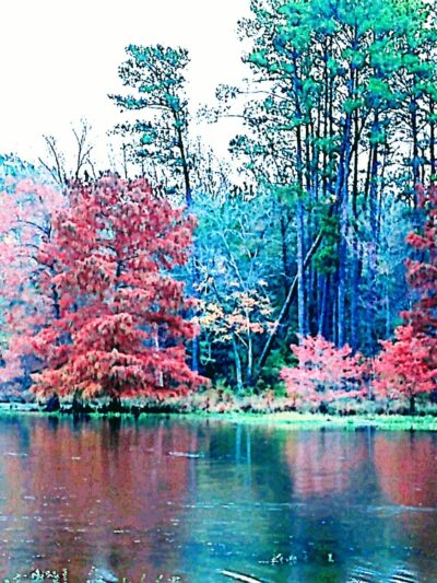Iron Lake - Linden, TX