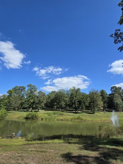 Linden City Park - Linden, TX