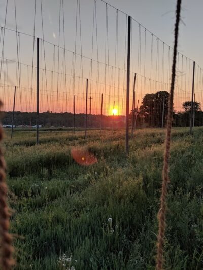 Dublin Corners Farm Brewery - Linwood, NY