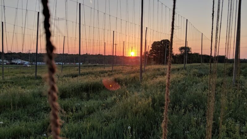 Dublin Corners Farm Brewery - Linwood, NY