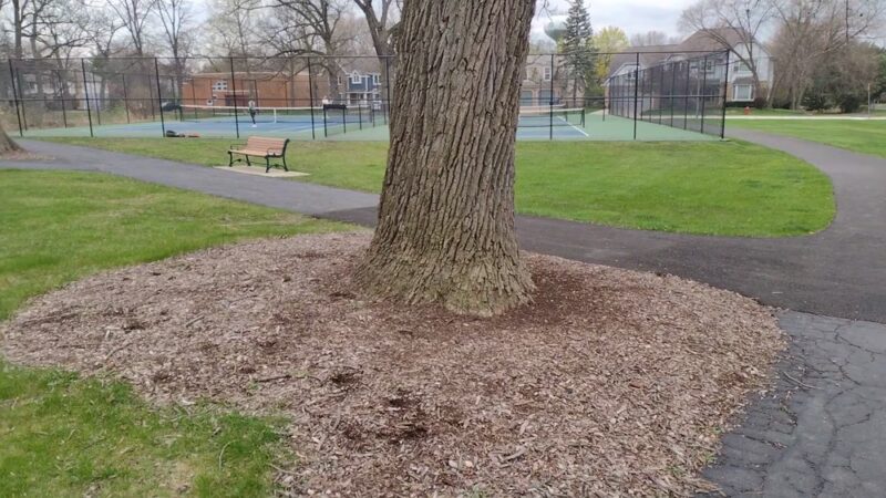 Abbeywood Park - Lisle, IL
