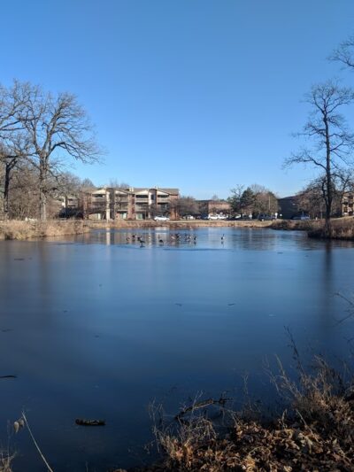 Abbeywood Park - Lisle, IL