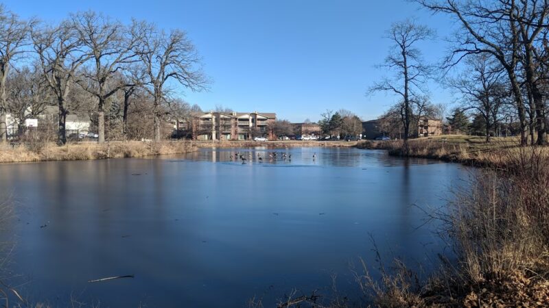 Abbeywood Park - Lisle, IL