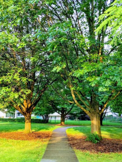 Beau Bien Park - Lisle, IL