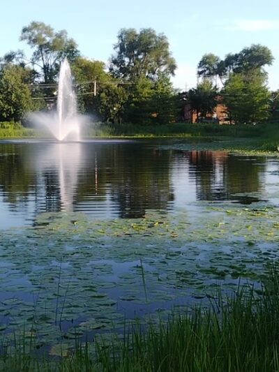 Dragonfly Landing - Lisle, IL