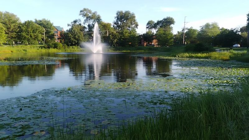 Dragonfly Landing - Lisle, IL