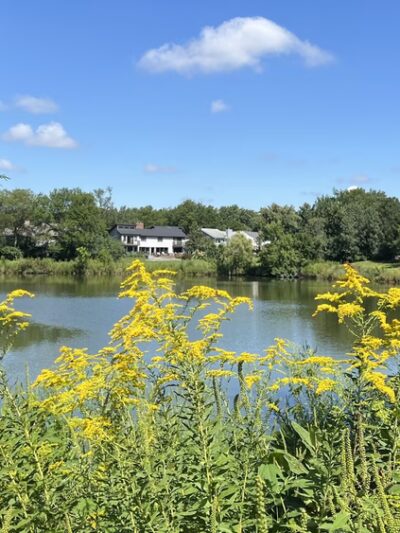 Heritage Farm Park - Lisle, IL