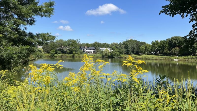 Heritage Farm Park - Lisle, IL