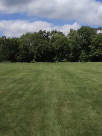 Kingston Park - Lisle, IL