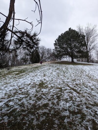 Kingston Park - Lisle, IL