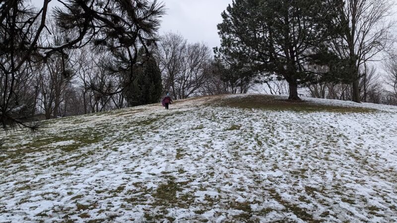 Kingston Park - Lisle, IL