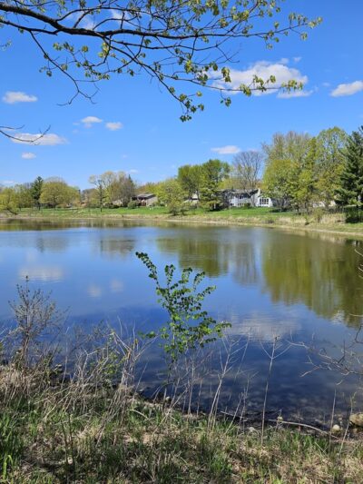 Old Tavern Park - Lisle, IL