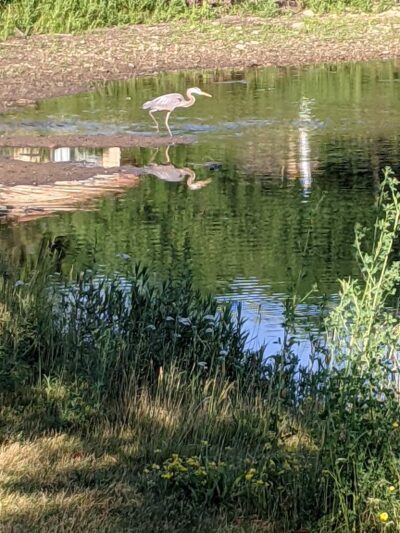 Old Tavern Park - Lisle, IL