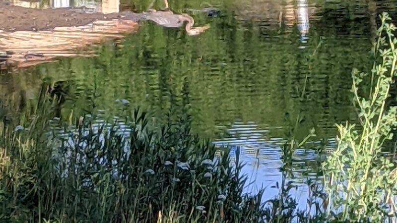 Old Tavern Park - Lisle, IL