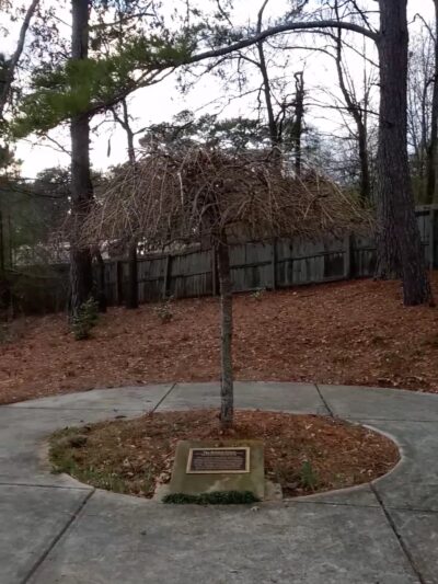 Lithia Springs Park - Lithia Springs, GA