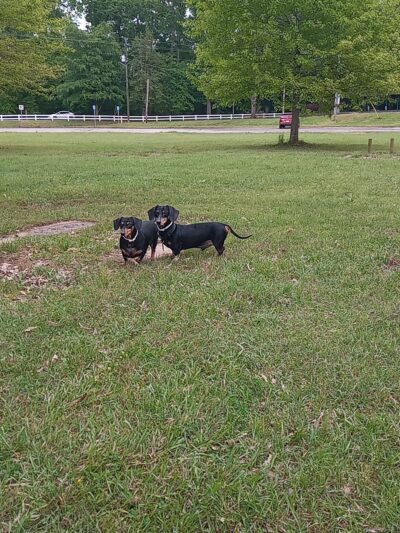 Woodrow Wilson Park - Lithia Springs, GA
