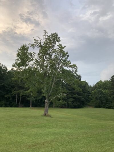 Redan Park - Lithonia, GA