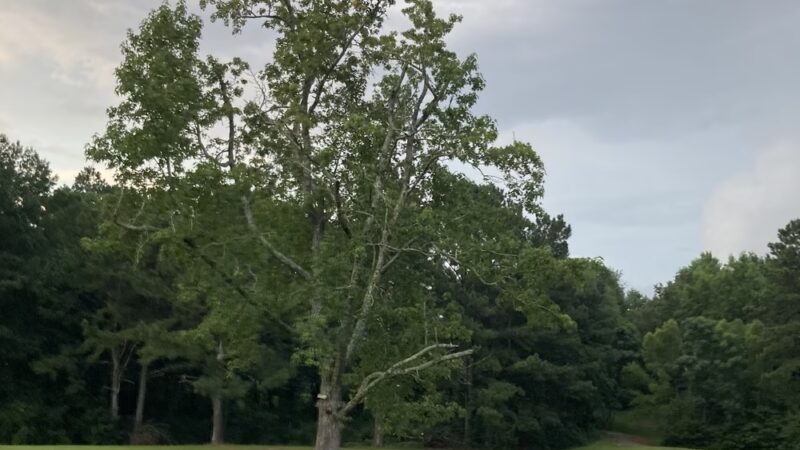 Redan Park - Lithonia, GA