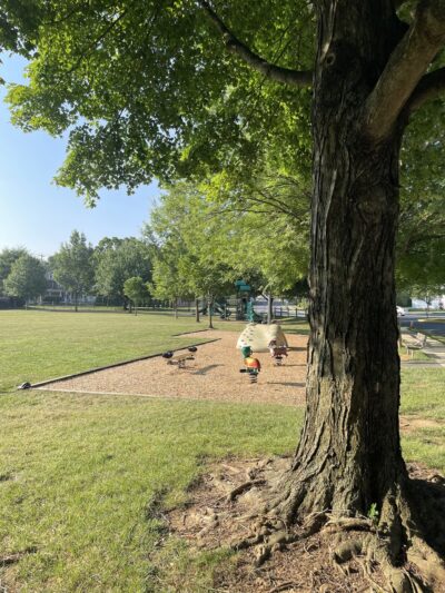 Spruce Street Park - Lititz, PA