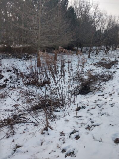 Butterfly Acres CARA Restoration - Lititz, PA