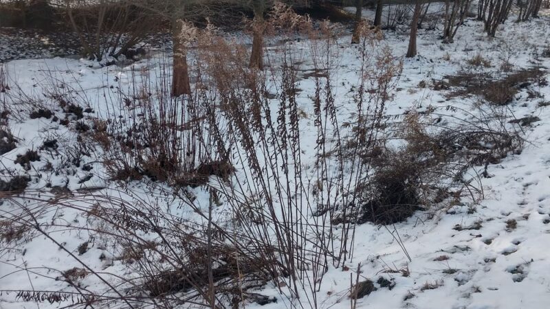 Butterfly Acres CARA Restoration - Lititz, PA