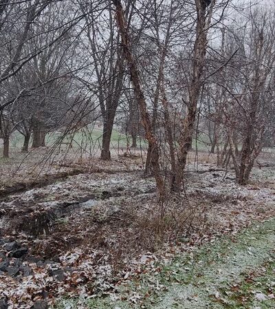 Butterfly Acres CARA Restoration - Lititz, PA