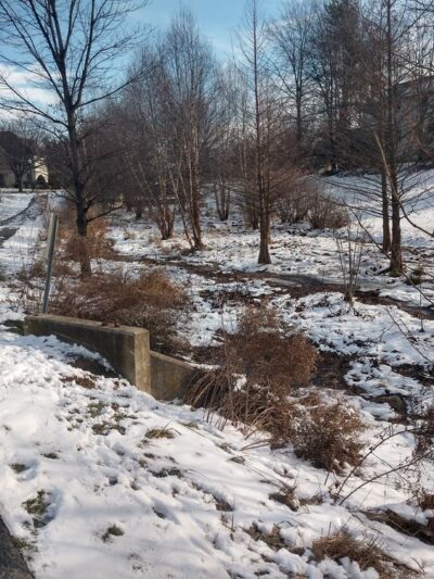 Butterfly Acres CARA Restoration - Lititz, PA