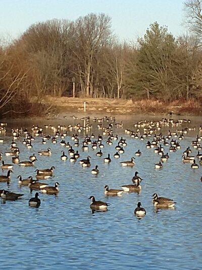 Dean L Saylor Park - Lititz, PA