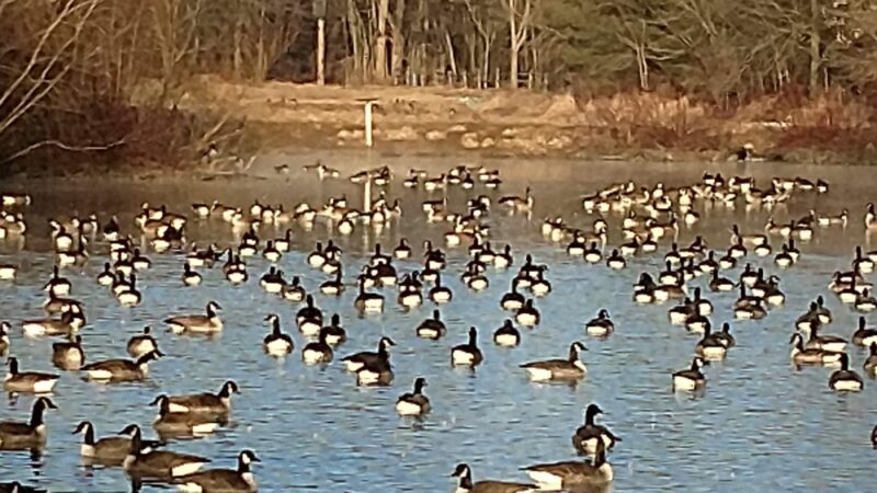 Dean L Saylor Park - Lititz, PA