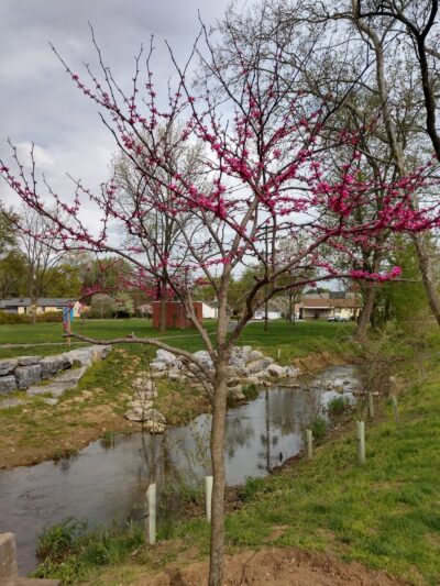 New Street Park - Lititz, PA