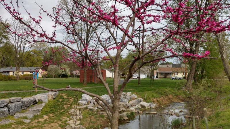 New Street Park - Lititz, PA