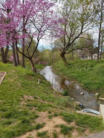 New Street Park - Lititz, PA