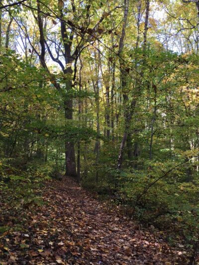 Speedwell Forge County Park - Lititz, PA