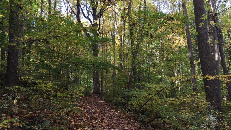 Speedwell Forge County Park - Lititz, PA