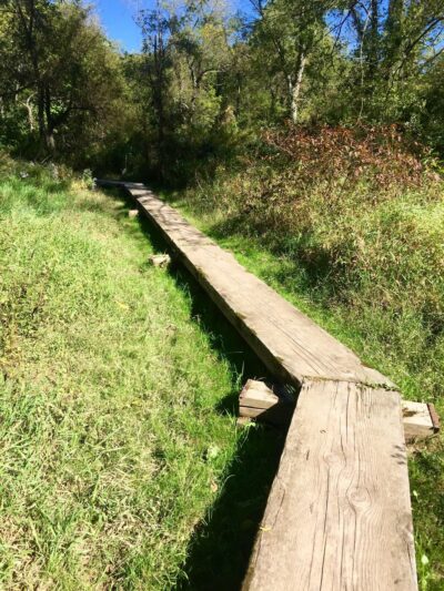 Speedwell Forge County Park - Lititz, PA